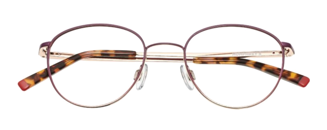 Transparent Brille 2